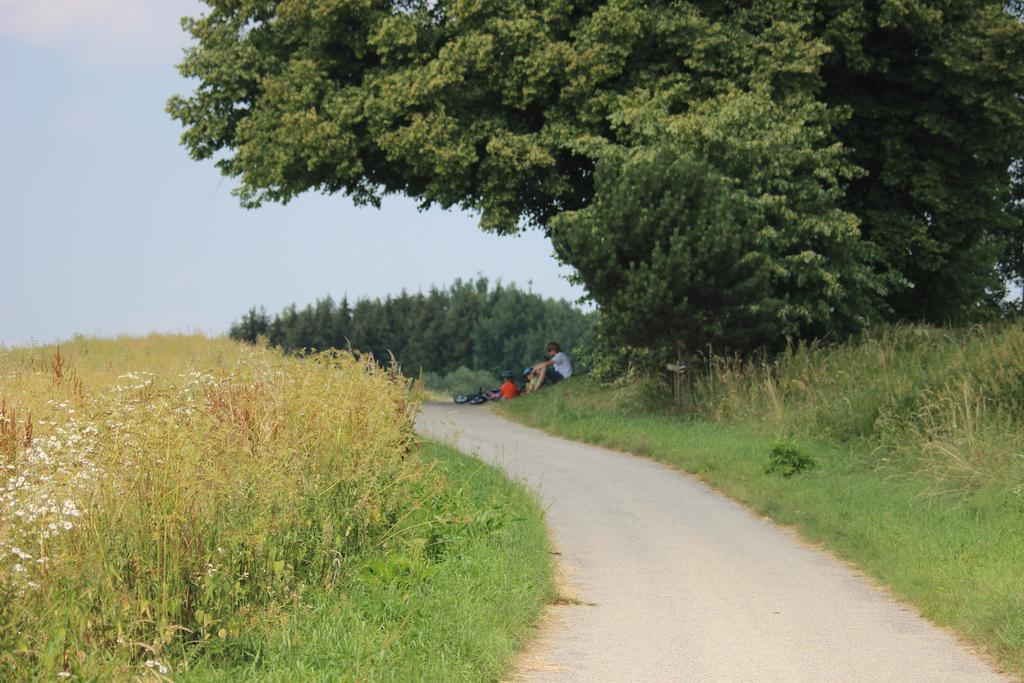 Penzion Keramika Jindřichŭv Hradec Dış mekan fotoğraf